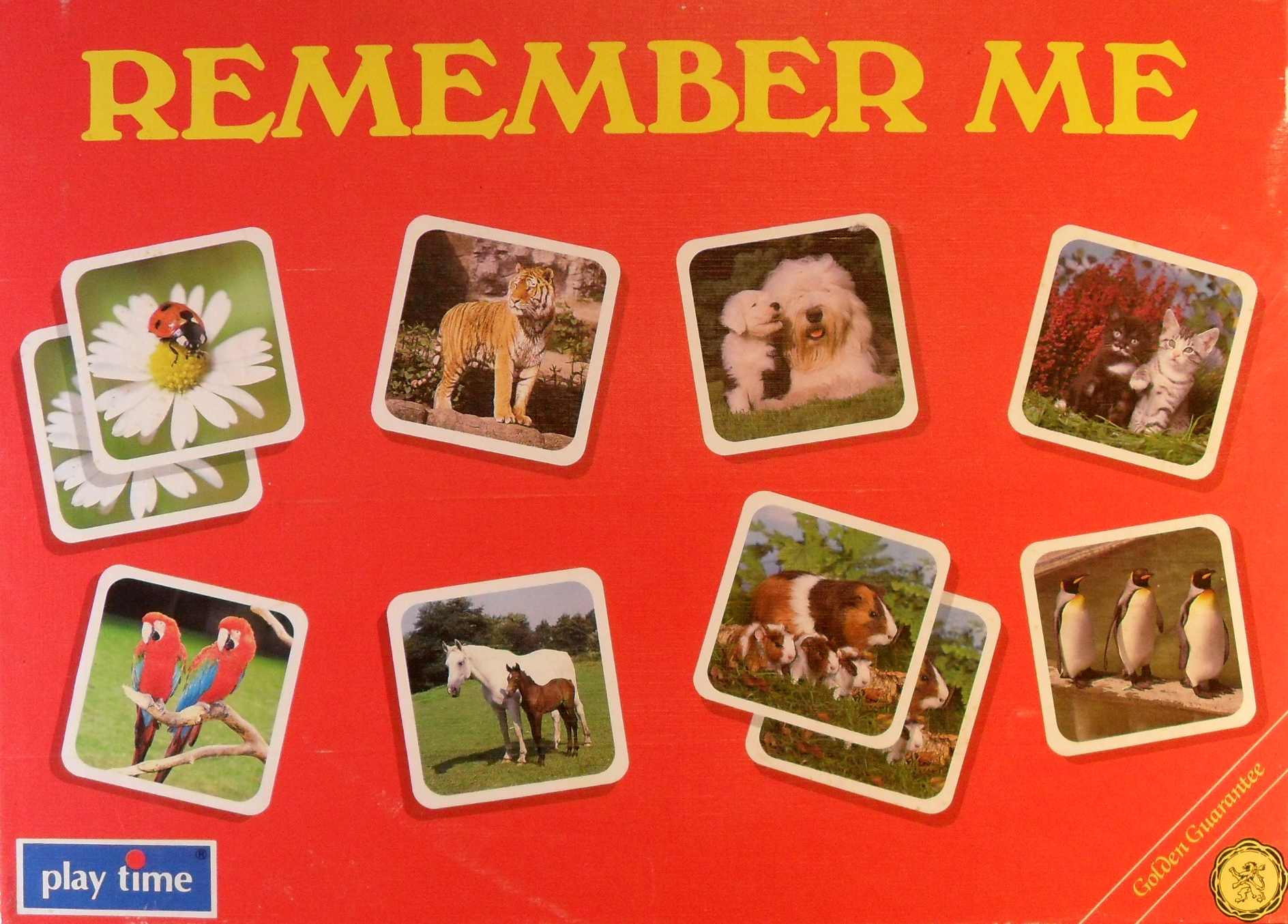 Remember Me