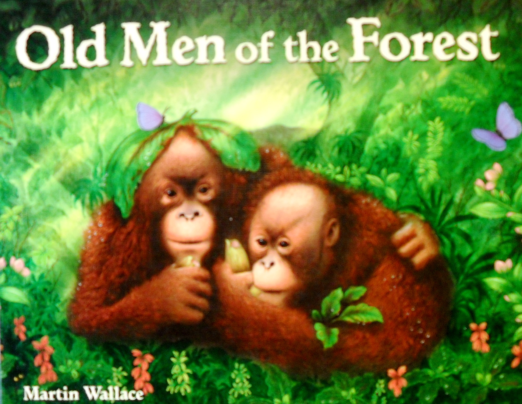 Old Men of the Forest