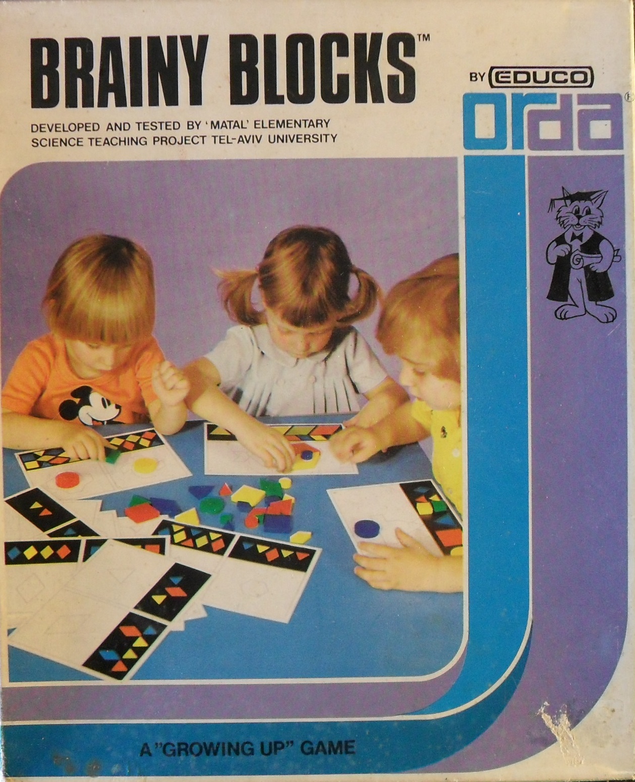Brainy Blocks