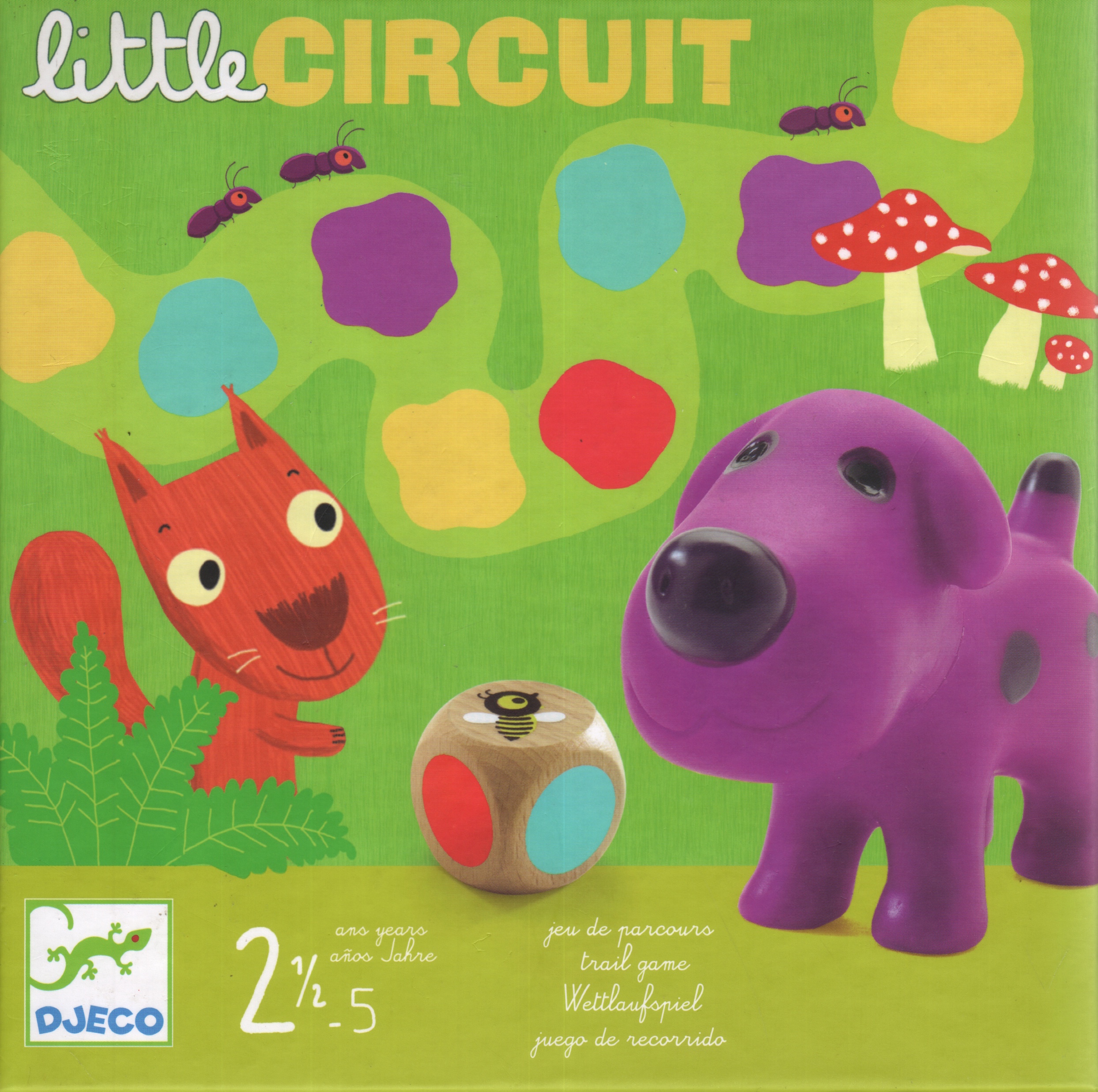 Little Circuit