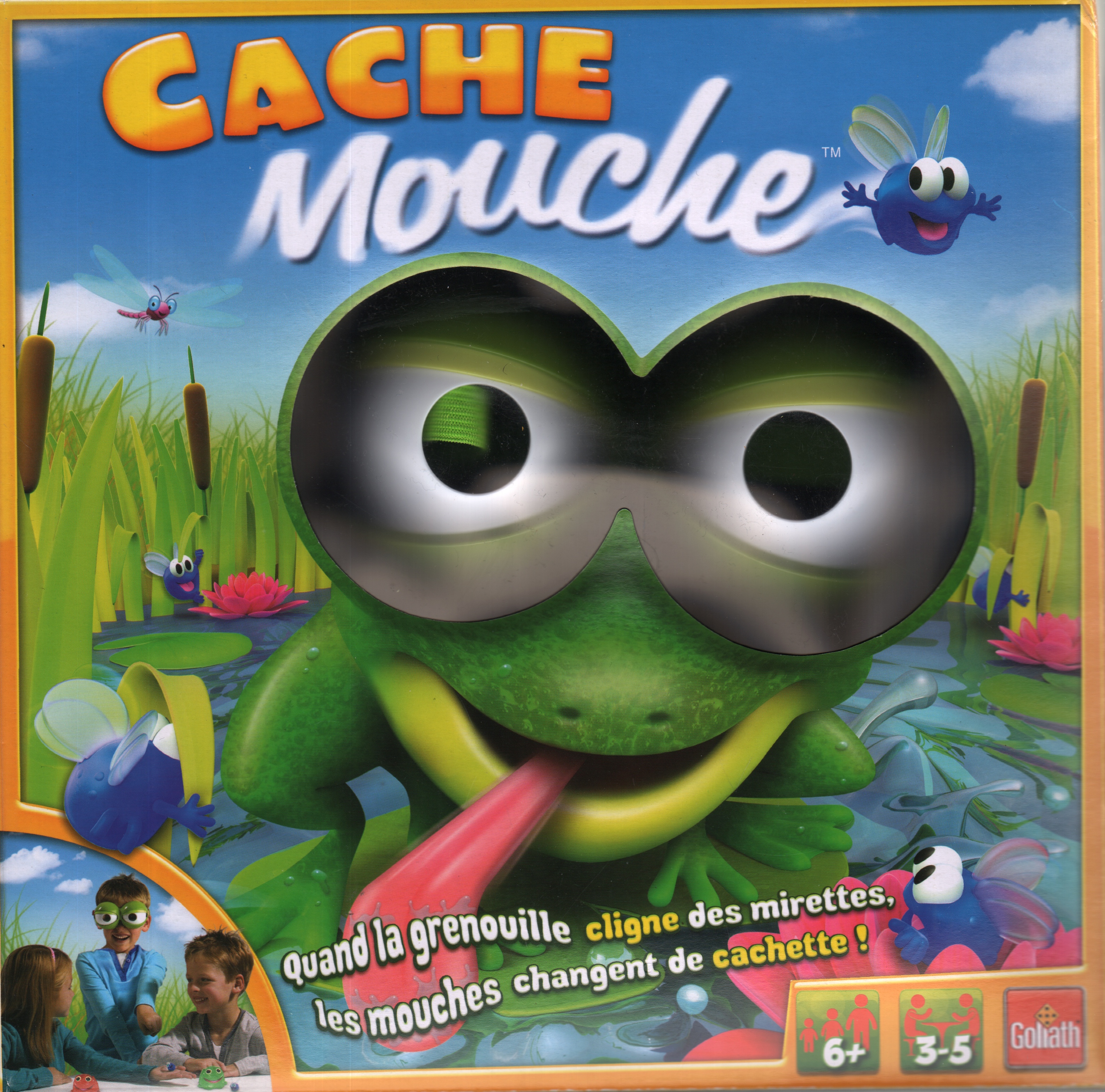 Cache Mouche