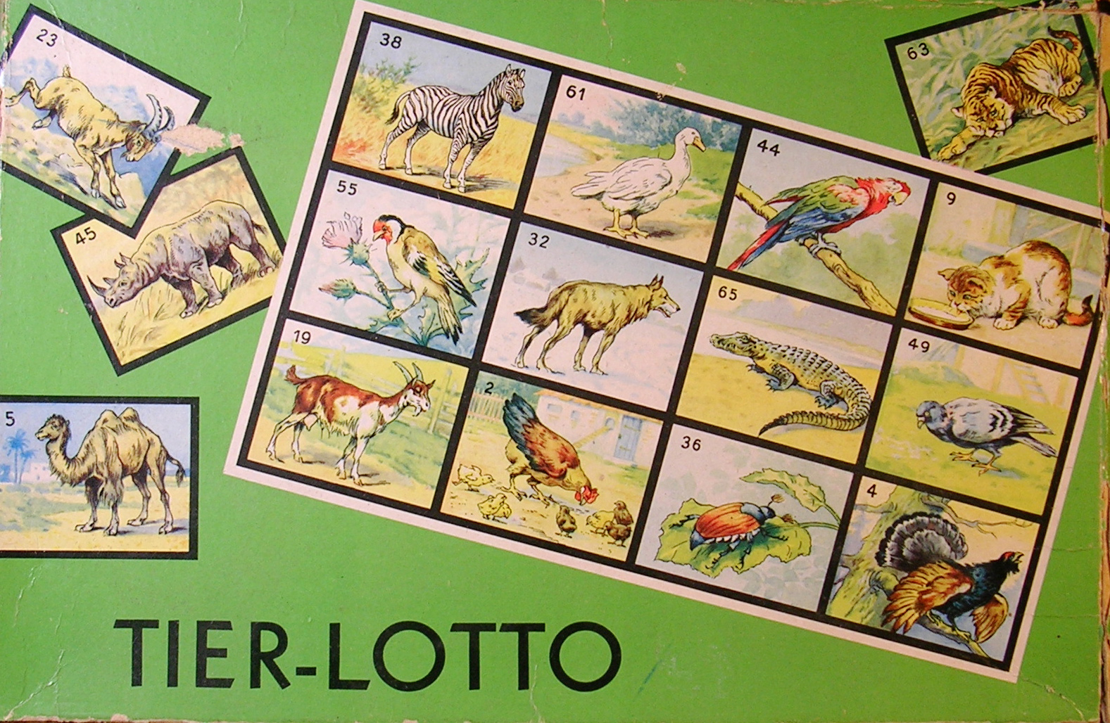 Tier-Lotto