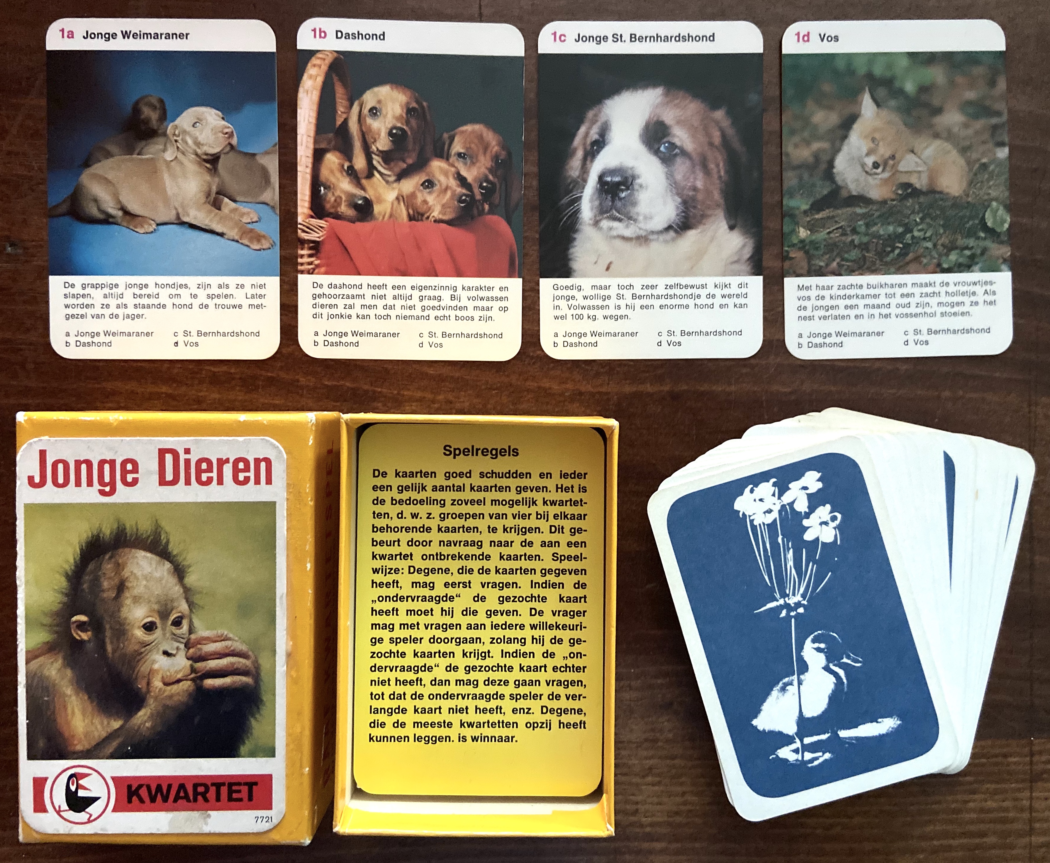 Kwartet: Jonge Dieren