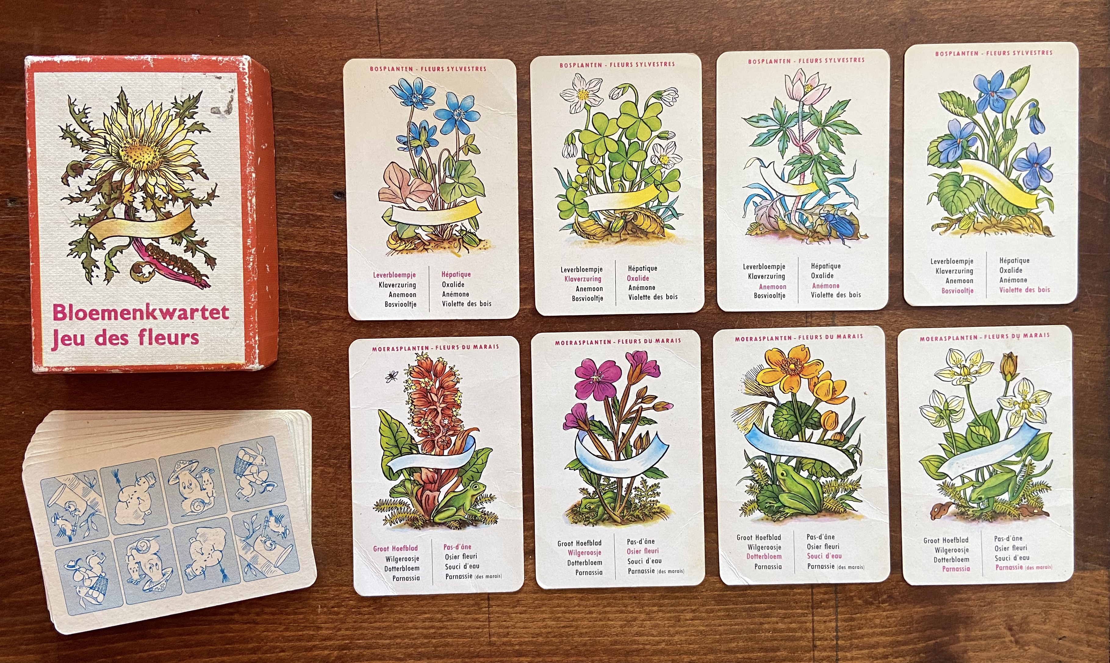 Bloemenkwartet (Jeu des Fleurs)