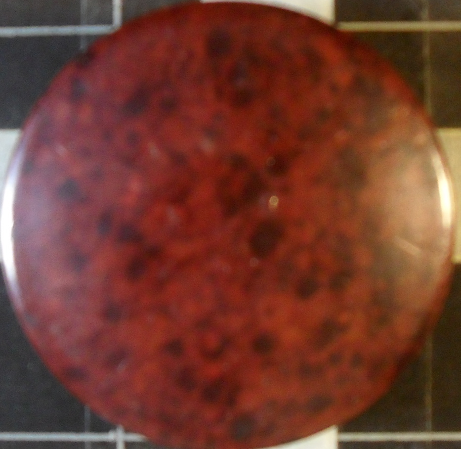 Vlooienspel