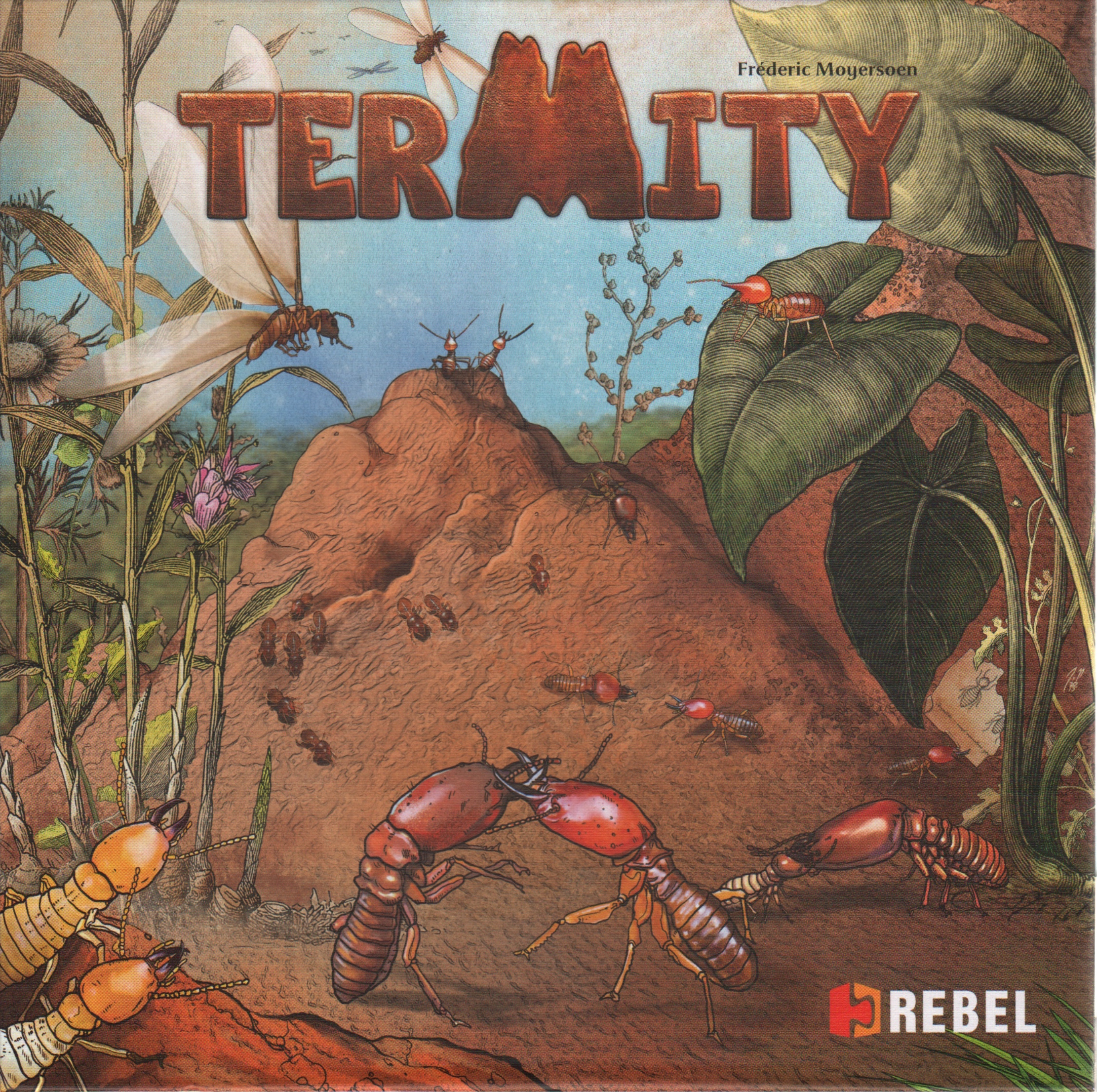 Termity