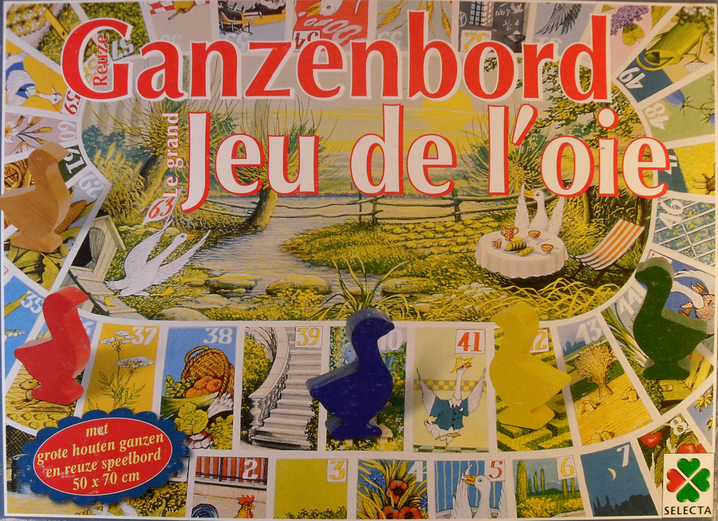 Reuze Ganzenbord