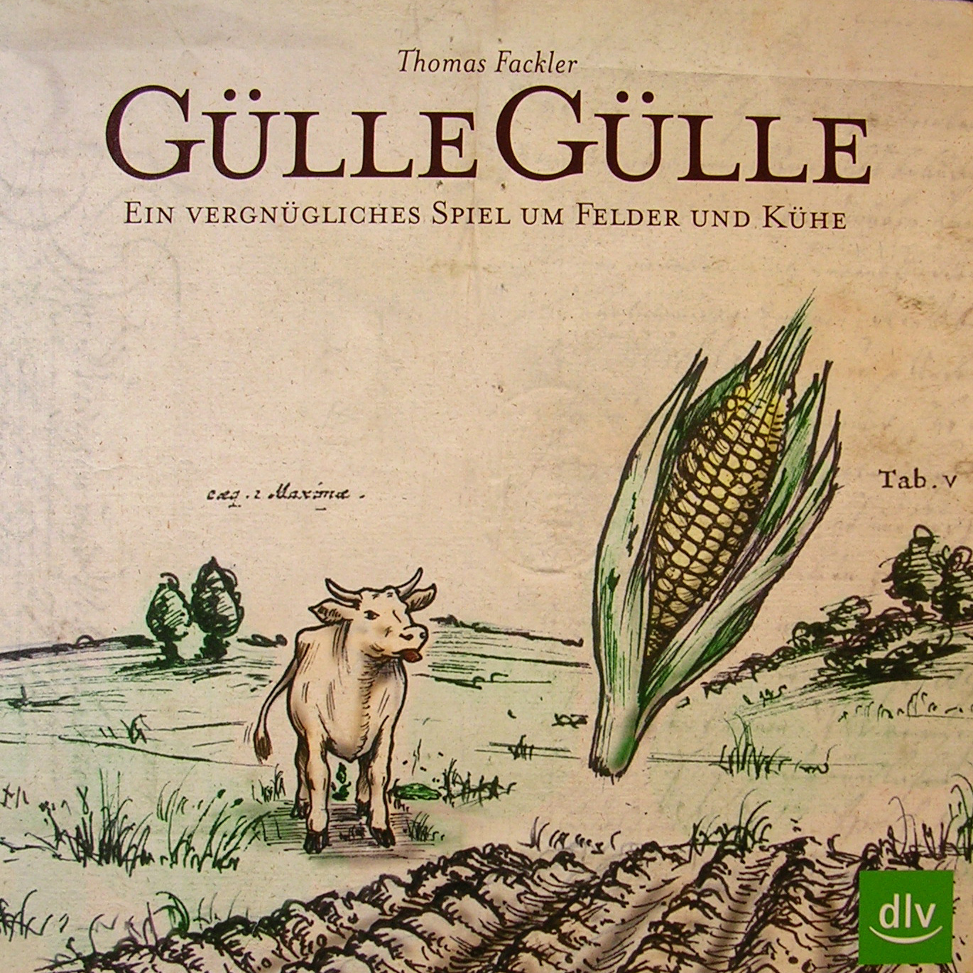 Gülle Gülle