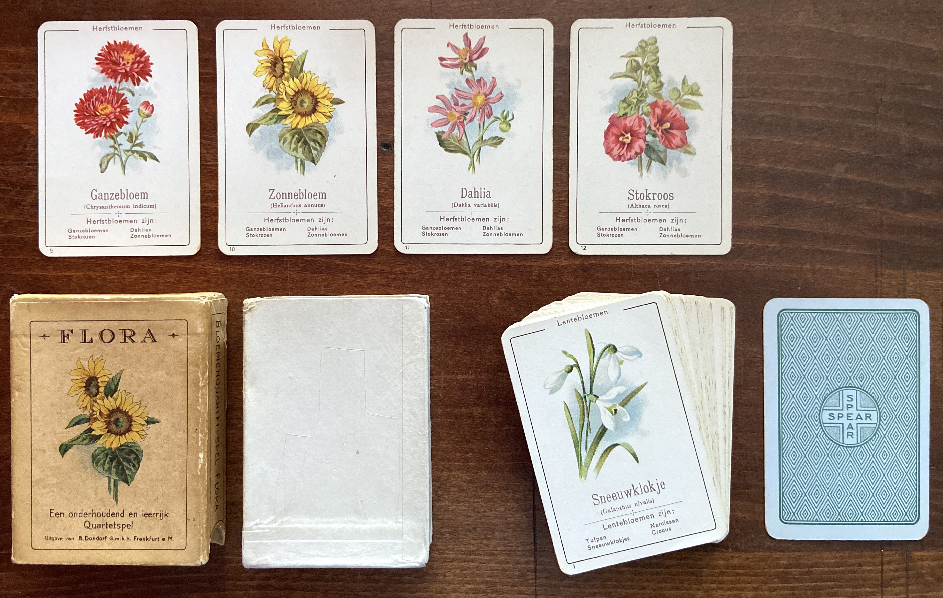 Bloemenquartet-Spel Flora: Een Onderhoudend en Leerrijk Quartetspel
