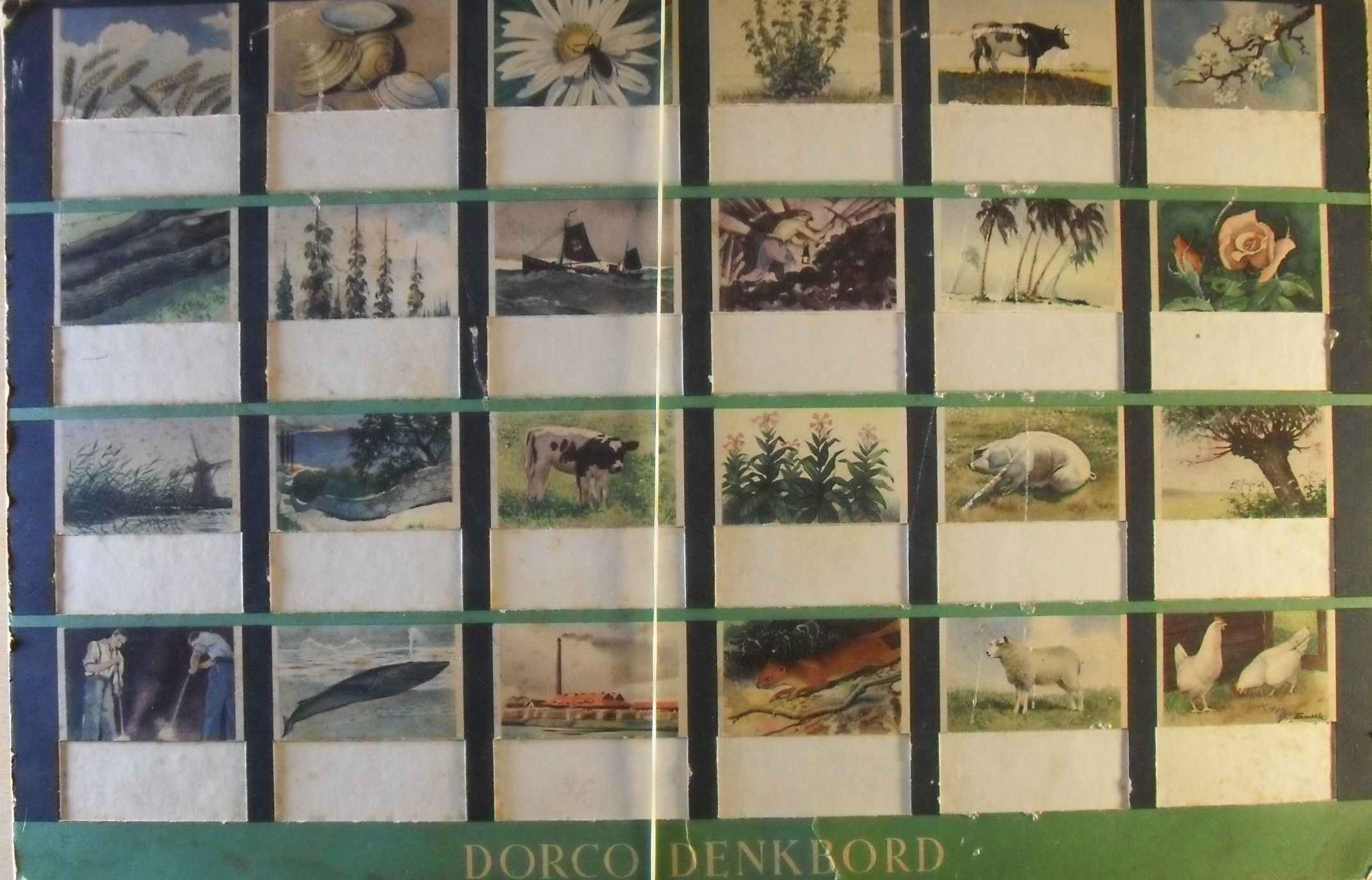 Dorco-Denkbord