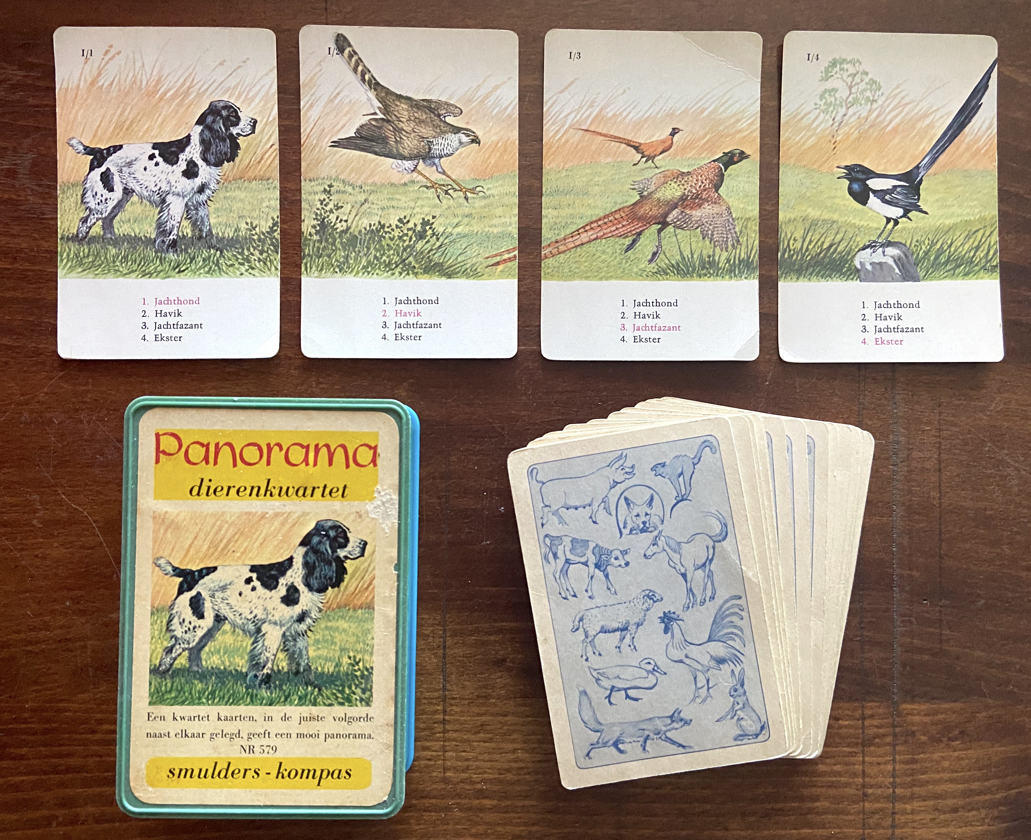 Panorama Dierenkwartet