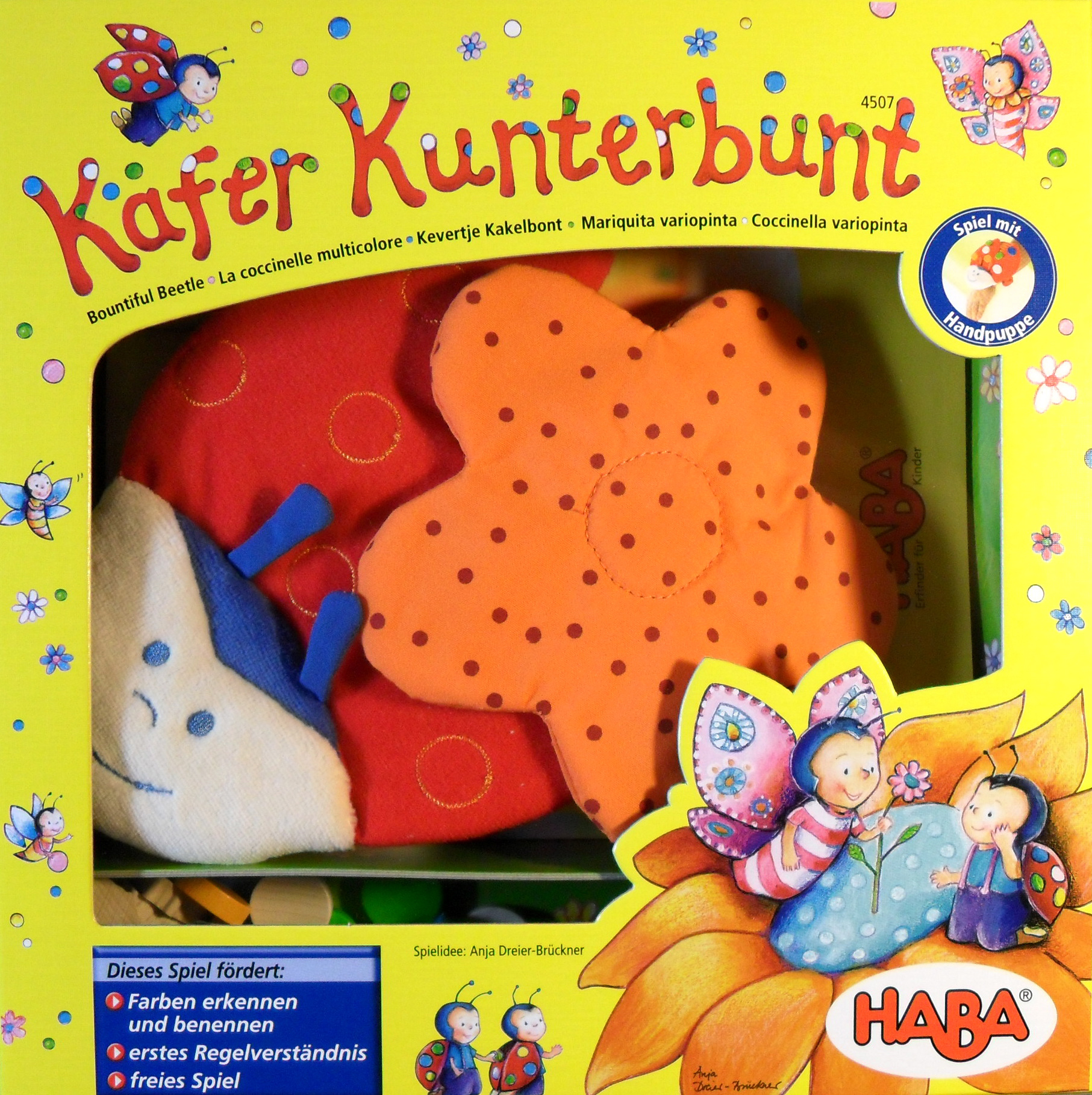Käfer Kunterbunt (Kevertje Kakelbont)