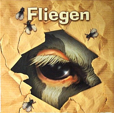 Fliegen