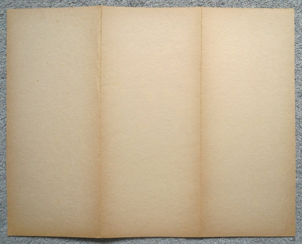 445-5.jpg