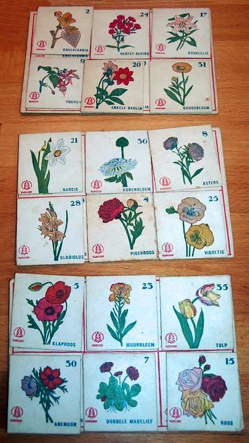 1000-2.jpg