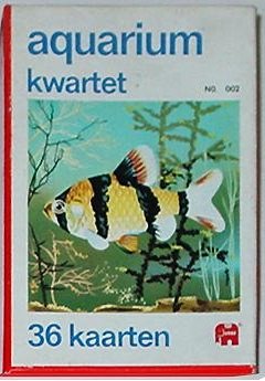 10737-1.jpg