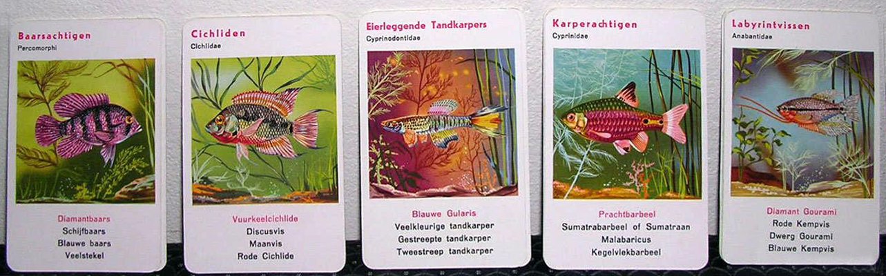 10835-4.jpg
