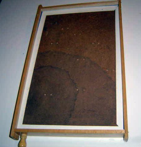12143-2.jpg