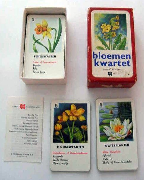 12933-2.jpg