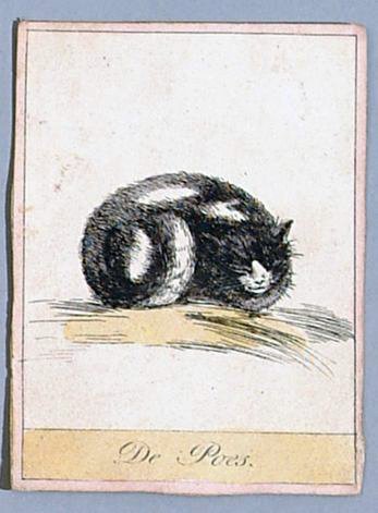 13944-3.jpg