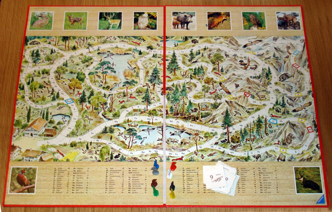 14598-3.jpg