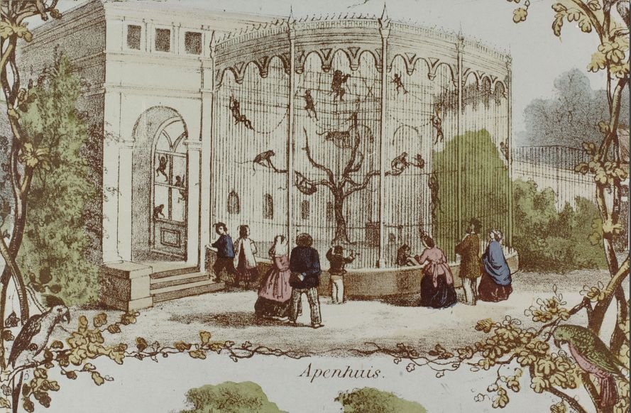 14909-3.jpg