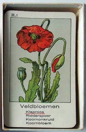 15590-2.jpg