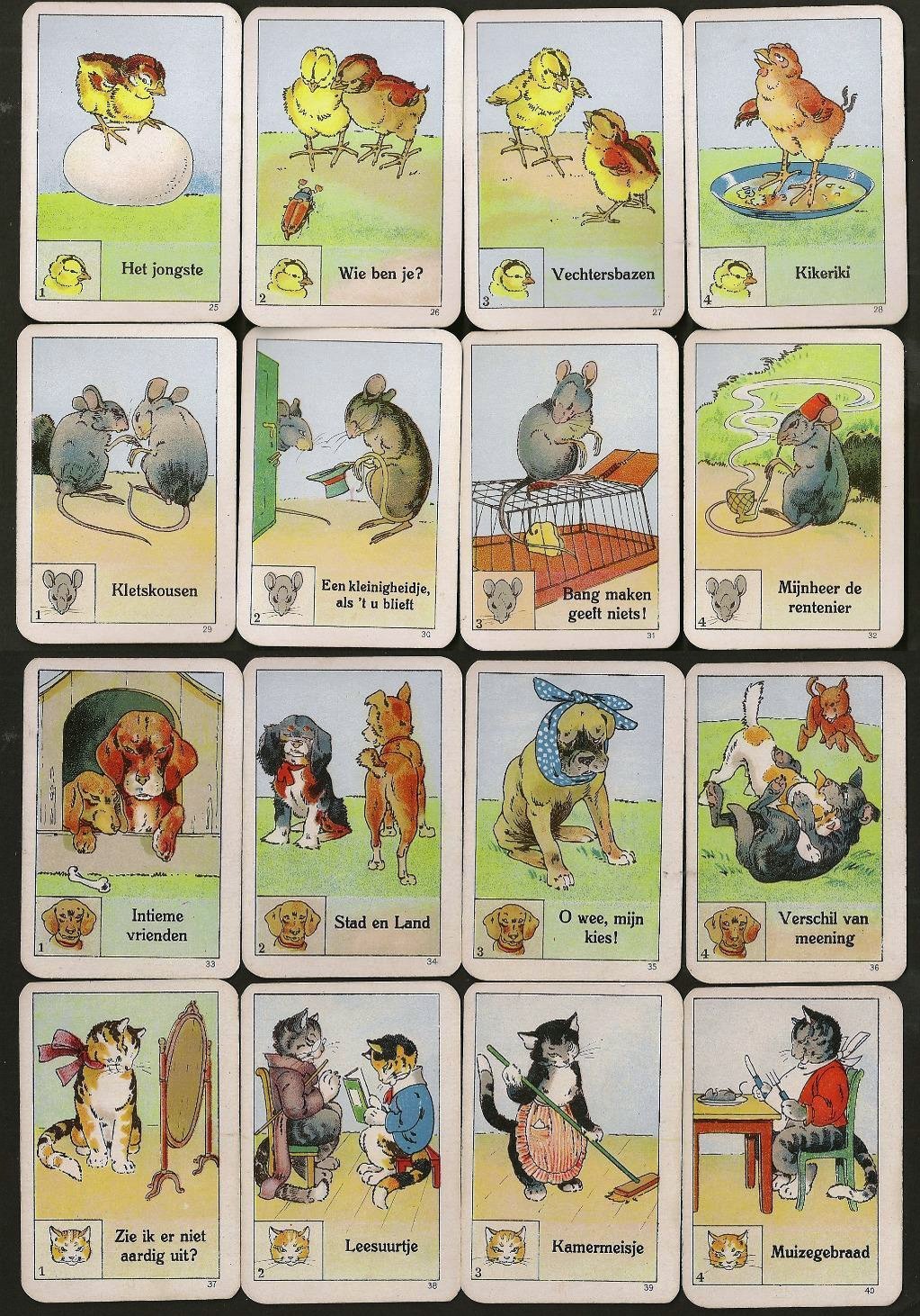 15594-3.jpg