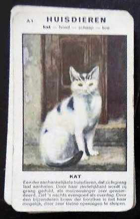 15878-2.jpg