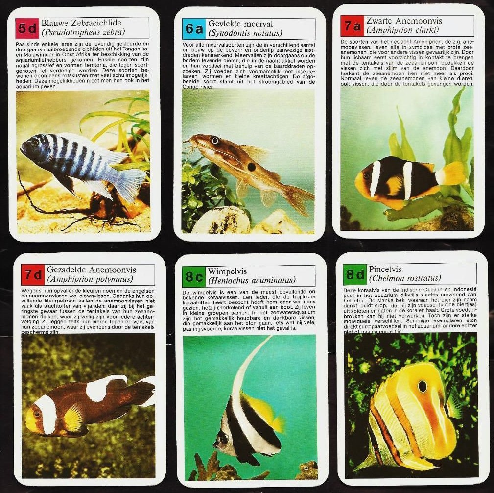 16103-4.jpg