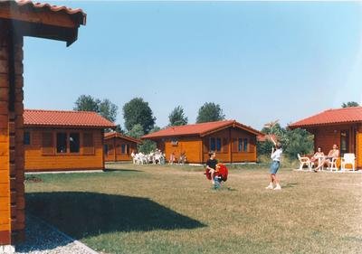 16610-4.jpg