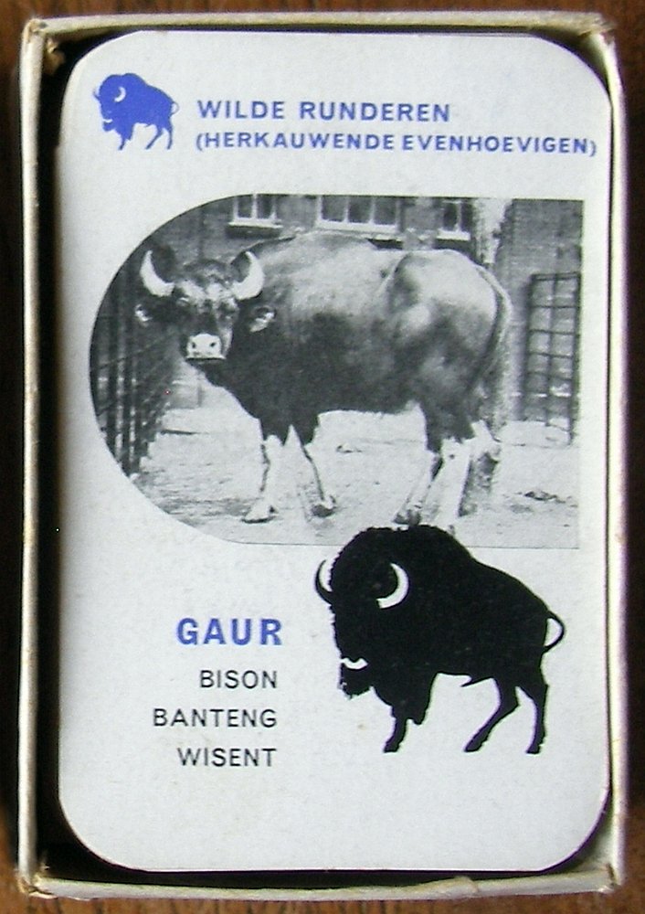 16840-2.jpg