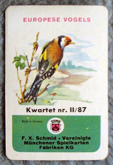 16892-1.jpg