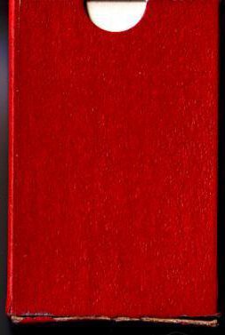 16924-3.jpg