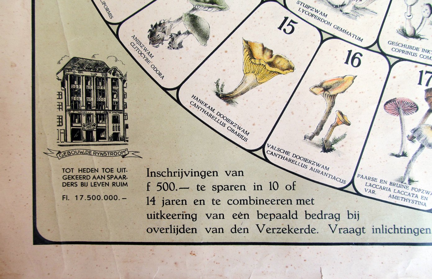 17256-3.jpg