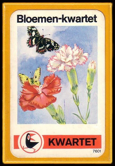 17650-1.jpg