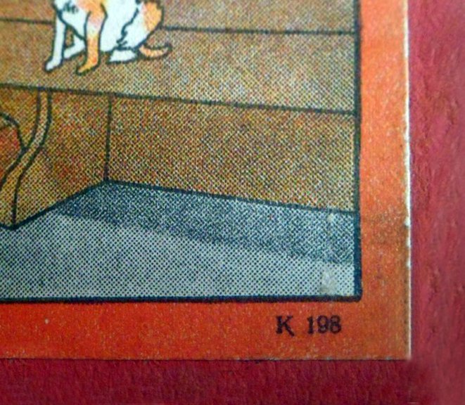 18466-5.jpg
