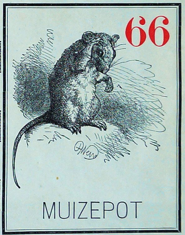 19398-3.jpg