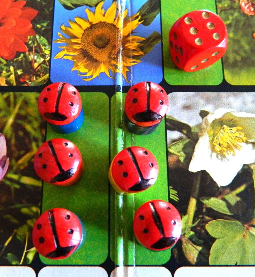 2282-3.jpg