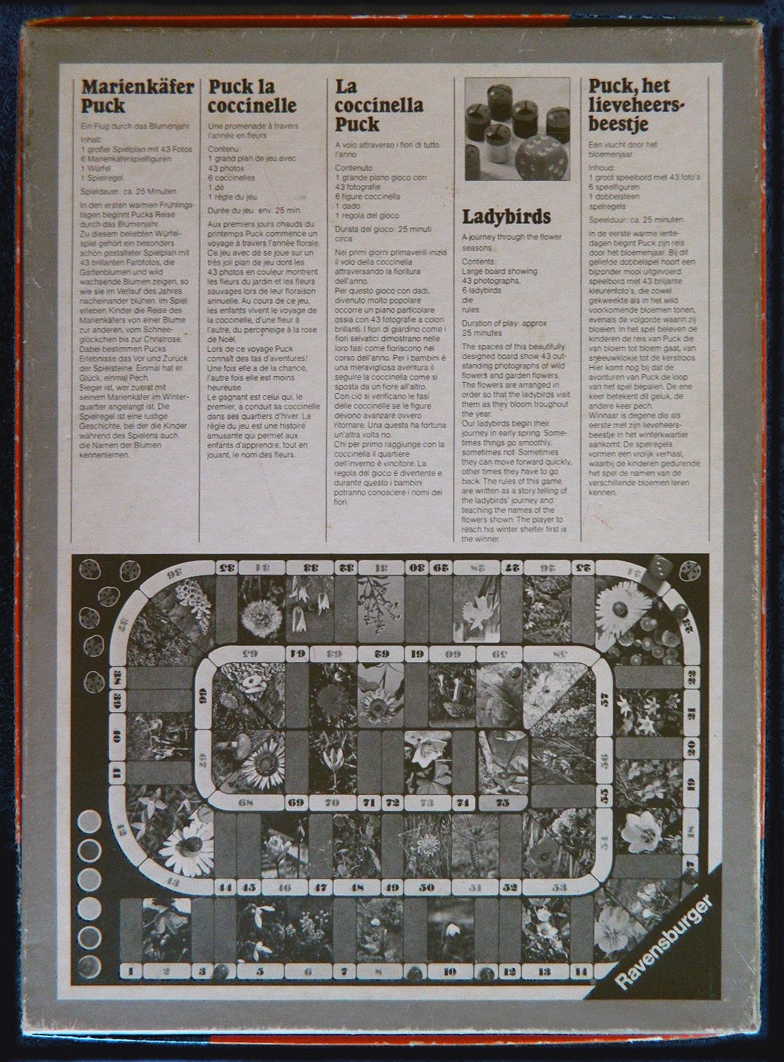2282-4.jpg