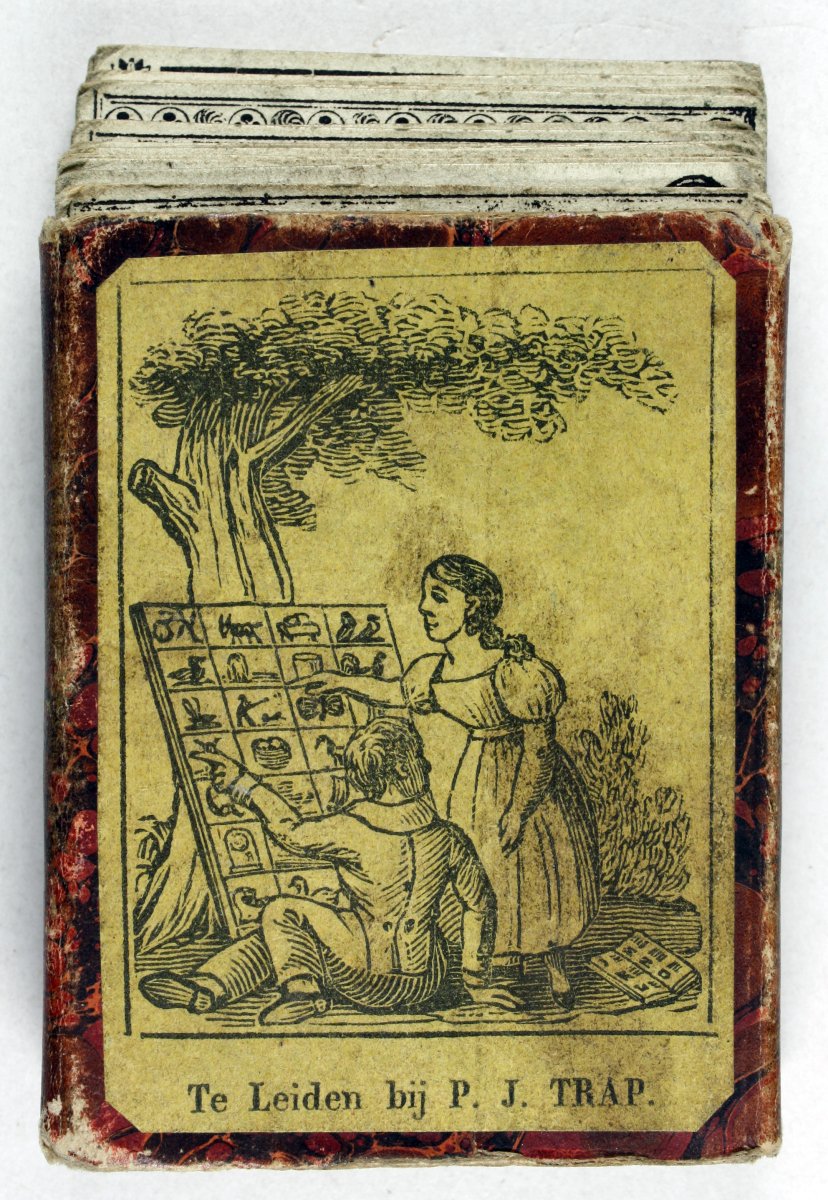 2598-1.jpg