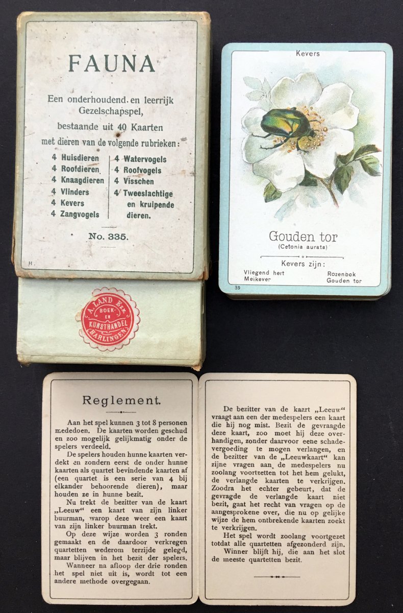 6240-4.jpg