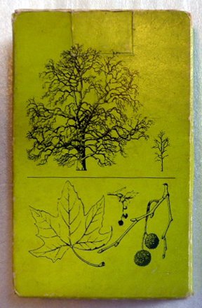 6389-1.jpg