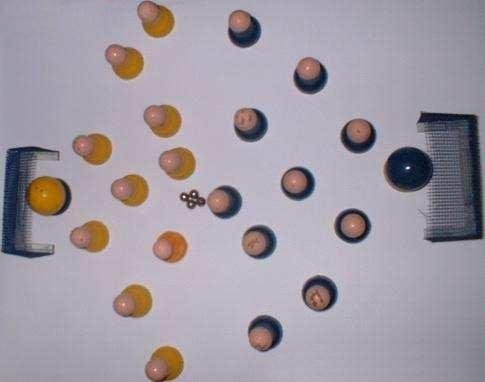 6524-3.jpg