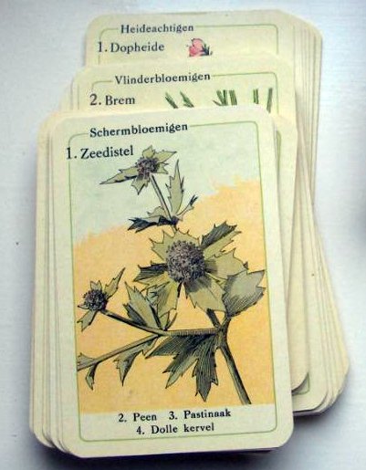 7690-2.jpg