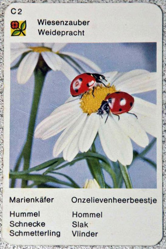 7765-4.jpg