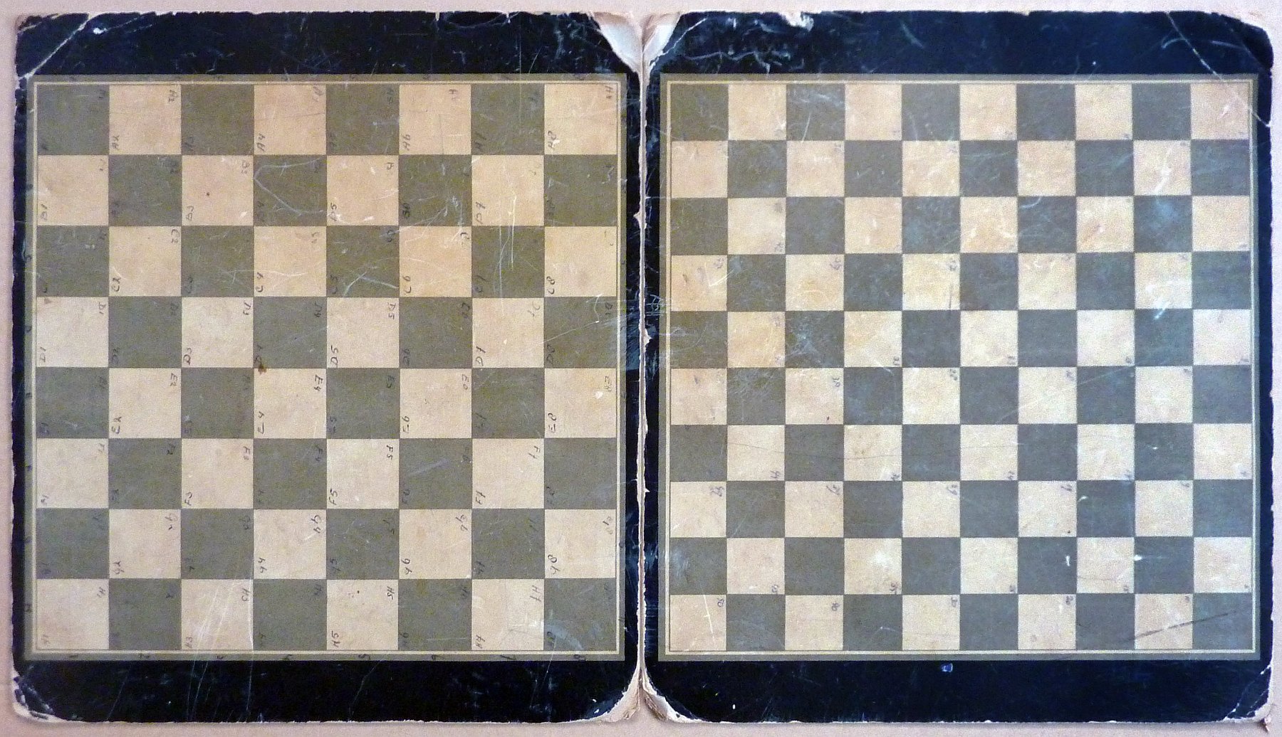 7838-4.jpg