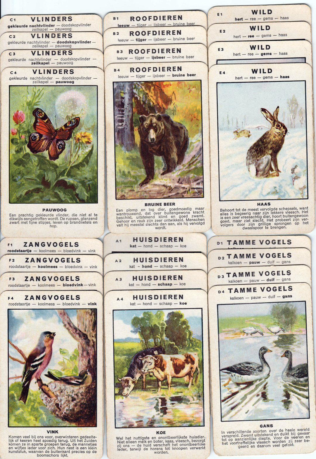 8882-2.jpg