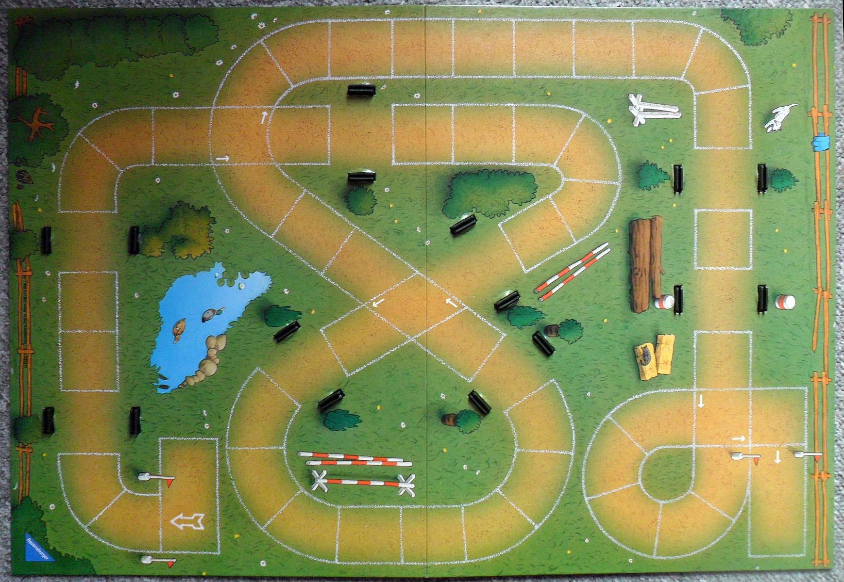 8934-4.jpg